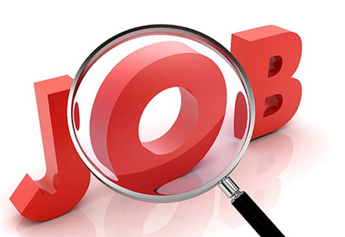 Customer Service Representative Job In NUTSHELL INFORMATION TECHNOLOGY 