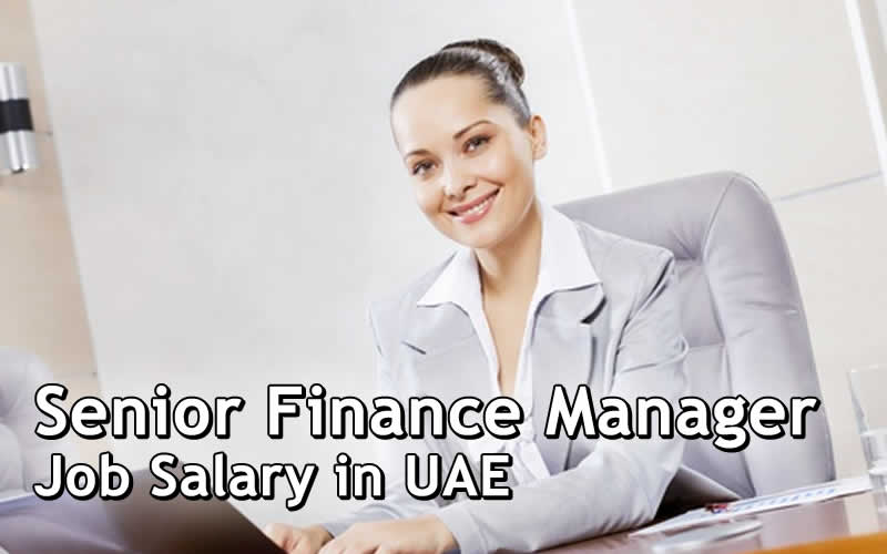 Senior Finance Manager Job Salary in Dubai and UAE